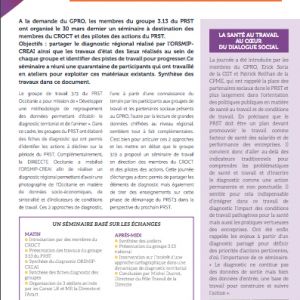 Le diagnostic régional en santé au travail du PRST3 Occitanie : Document de synthèse