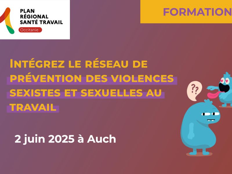 Atelier d'intégration au réseau VSST - Auch