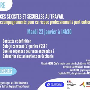 23/01/2024  14h30 - Webinaire] Violences sexistes et sexuelles au travail