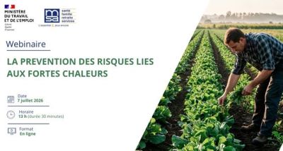 Webinaire de la MSA : prévenir les risques liés aux fortes chaleurs dans l'agriculture Webinaire de la MSA : prévenir les risques liés aux fortes chaleurs dans l'agriculture