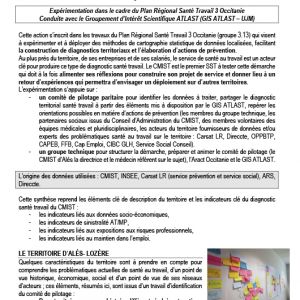 Synthse du diagnostic sant travail du CMIST