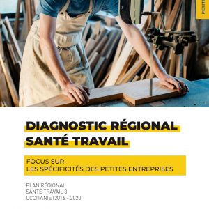 Diagnostic re&#769;gional Occitanie - Focus sur les spcificits des petites entreprises