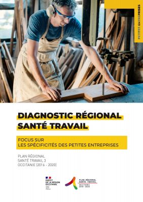 Diagnostic re&#769;gional Occitanie - Focus sur les spcificits des petites entreprises